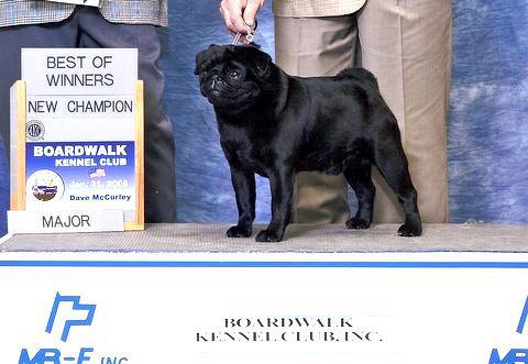 BB King.jpg