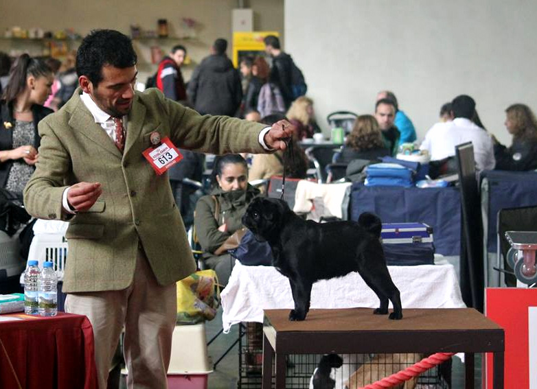 Quibble Show Braga.jpg