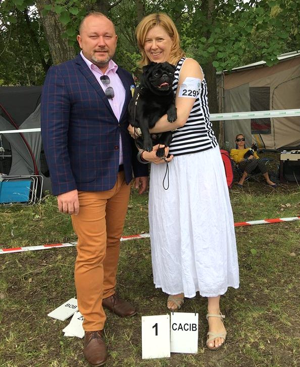 Polen: Quizmaster vom Sachsen Adel wird Bester Mops der Show und Polnischer Champion