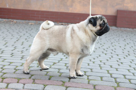 Xantano 15.3.15.jpg
